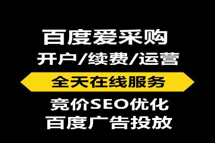 成功案例解析：SEM竞价员策略